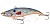 РАТТЛИН "KOSADAKA" BAY BLOCK 90 #GTC